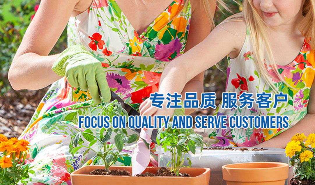 服务网络 服务网络